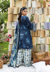 Nooré Chiffon Luxe – Eid premium Lawn 3PC Suit -A19